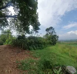 DIJUAL CEPAT!! Tanah kebun pojok jalan luas 1000m persegi