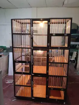 Kandang kucing kebon jeruk 4