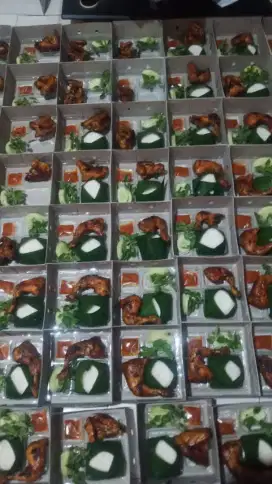 Paket Nasi Kotak / Nasi Box Ayam bakar untuk acara jakarta bekasi