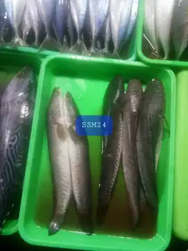 Terlaris Ikan Gabus Konsumsi Untuk Mempercepat Penyembuhan Luka,Dll