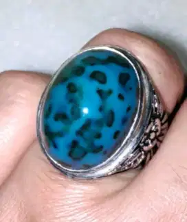 Bacan Doko Totol