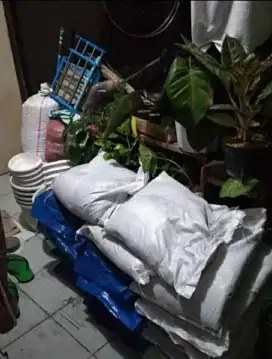 Jasa Tukang Kebun dan Service Taman