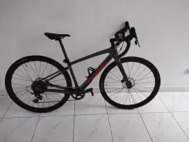 Specialized Diverge Carbon