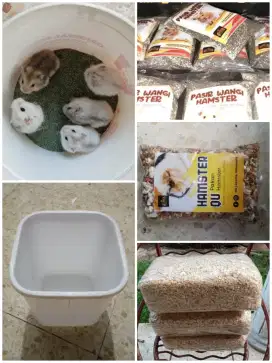 Paket Hamster ( Winter White, Makanan, Pasir, Serbuk, Box )