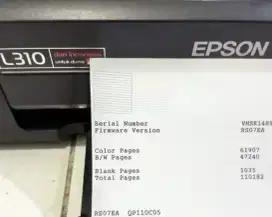 Printer Epson l310