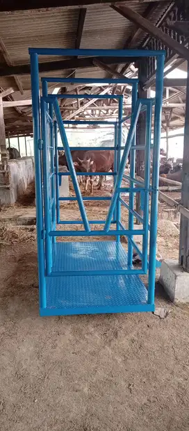 Timbangan sapi kerangkeng monster