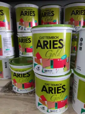 Cat Tembok Aries Gold 4,5 kg