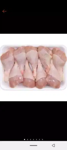 Paha pentung fresh 1kg Rp.37000