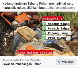 tebang pohon kota batu