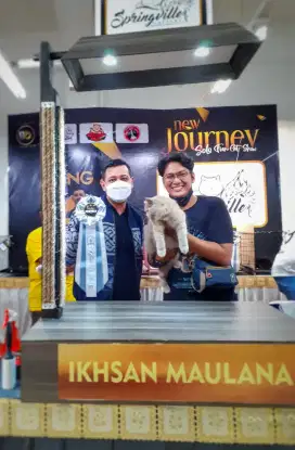Grooming Kucing Panggilan
