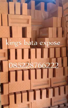 Bata press expose