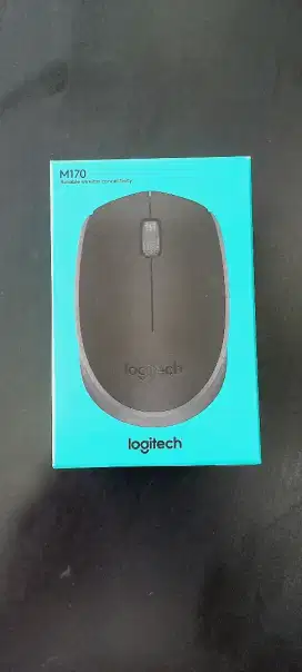 Mouse Wireless Logitech M170