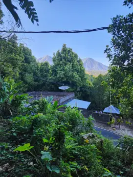 Tanah view gunung da lembah  jalan utama Desa  Munduk