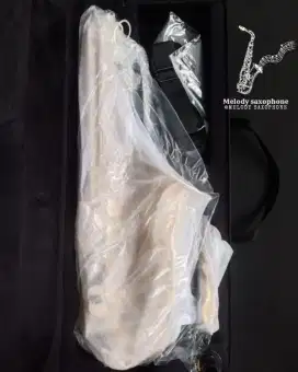 Saxophone jual beli
