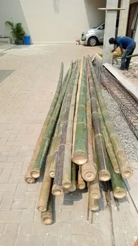 Jual bambu steger & kaso