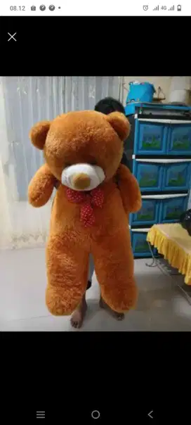 Boneka tedy bear