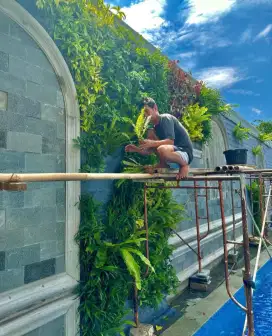 Taman vertical garden murah