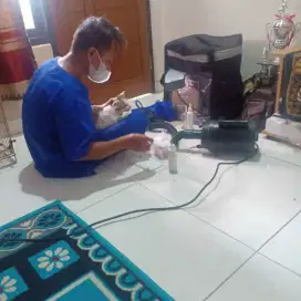 Grooming panggilan se-jabodetabek