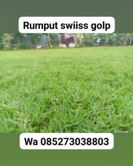 Ahli pembuat taman