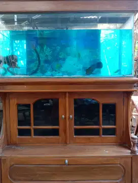 Aquarium kaca 5mili