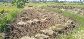 Jual Tanah Sawah Letak Strategis Pusat Kota Cianjur