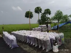 Jual sekam bakar ukuran karung 50kg