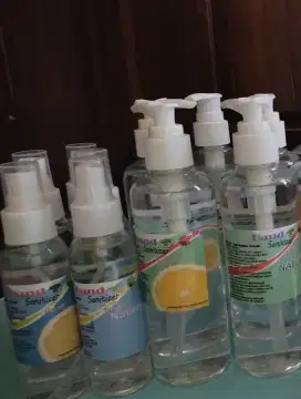 Sanitizer 250 ml pump