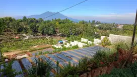 TANAH KAVLING VILLA 1.555 M² VIEW BAGUS DI MEGAMENDUNG PUNCAK BOGOR