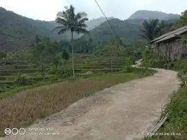 Dijual lahan mungil sejuk Cidahu Sukabumi