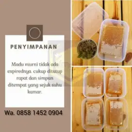 MADU SARANG ASLI MELIFERA