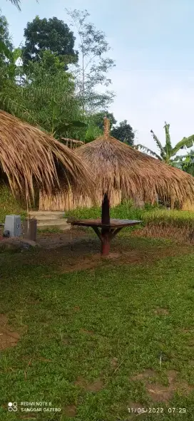 Saung payung kayu kelapa atap alang alang diameter 3m harga satuan