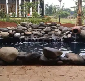 Kolam natural koi