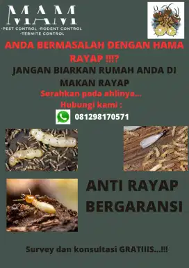 Anti Rayap Profesional
