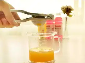 Pemeras Jeruk Nipis / Lemon /Citrus Extractor