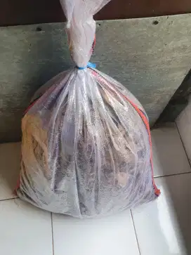Terlaris Jangkrik 1Karung Untuk Pakan Burung Kesayangan Anda