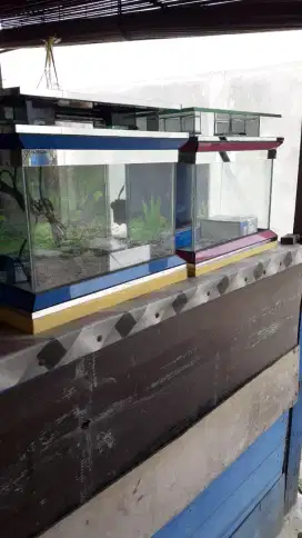 Aquarium fullset  40x30x35