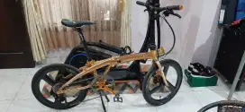 Sepeda Seli gold limited edition carbon (boleh TT)