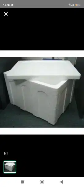 Styrofoam box bekas (layak pakai)