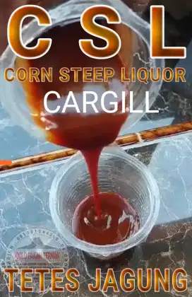 CSL - CORN STEEP LIQUOR - TETES JAGUNG