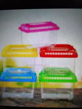 kotak untuk taruh hewan kecil