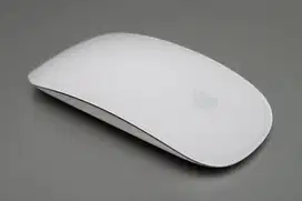 Magic Mouse 1 Ori