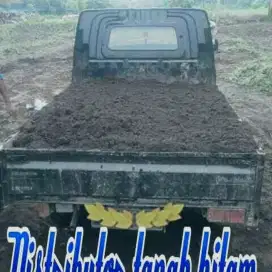 Distributor tanah hitam topsoil