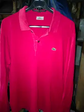 Kaos Polo Lacoste red murce