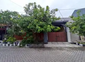 PANDUGO DKT RAYA MEER,BARUK,RUNGKUT ASRI ,STIKOM