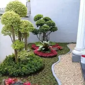 Tukang taman minimalis