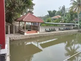 Kadang sapi,kolam,Pila,kontrakan musola