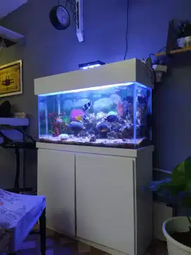 Meja Aquarium Minimalis murah