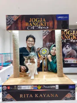 Grooming Kucing Panggilan