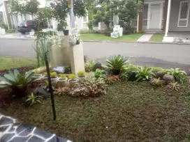 Tukang taman murah