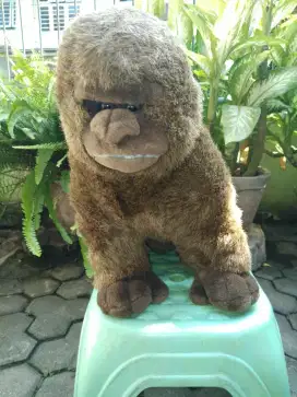 Boneka monyet orang hutan
